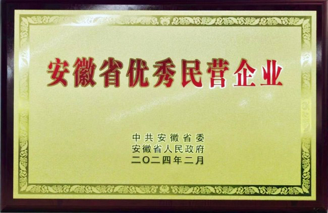 热烈祝贺hy5900cc海洋之神股份荣获安徽省优秀民营企业称号